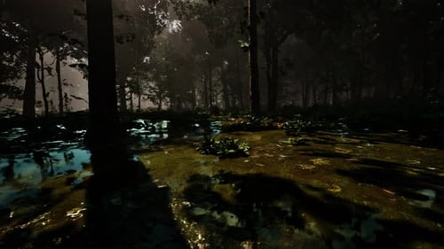 Mystic Foggy Swamp with Trees
