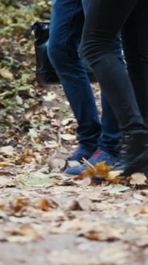 Male and Female Legs Walking on Autumn Leaves Slowmotion