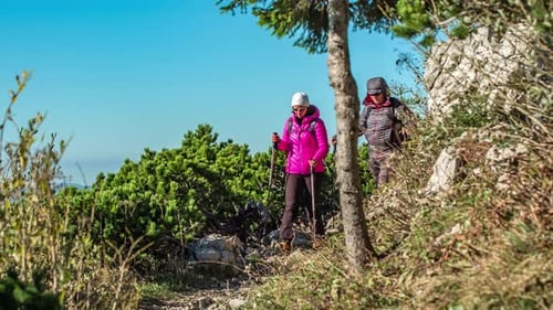 Hiker people hiking in beautiful mountain nature landscape. Woman and man hikers walking during trek