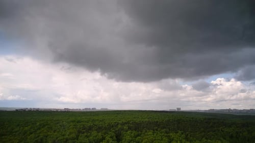 Aerial View of Forest Under Dramatic Sky