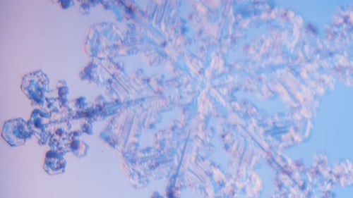 Snowflake close up under microscope panning view blue background fine details