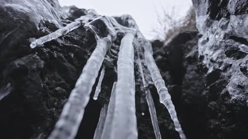 Icicles hanging from rocky ledge in close view, hinting at winter's chill