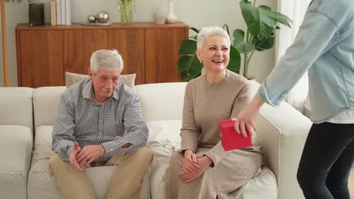 Happy Family Granddaughter Gives Gift Box Spring Tulip Flowers to Grandparents Teenage Girl with