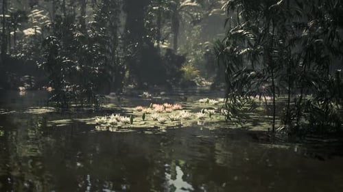 Lush Jungle in Vietnam Featuring Tranquil Waters and Vibrant Lotus Flowers