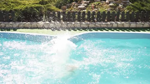 Happy Child Dives Into the Pool on a Sunny Day Slow Motion