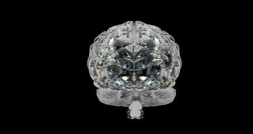 Abstract Rotating Clear Glass Brain