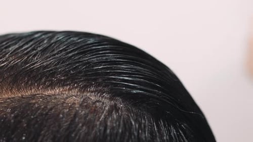 Estilista peina el cabello mojado de un cliente masculino cortando en el salón