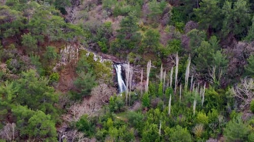 Aerial waterfall among green trees 4K