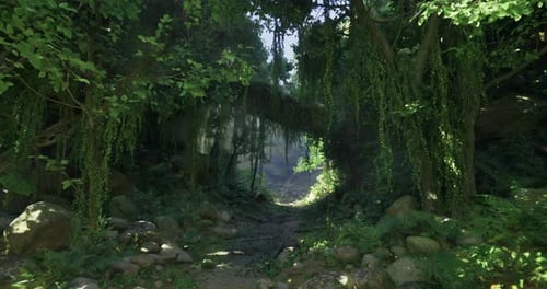 Lush Green Jungle Pathway with Vibrant Foliage and Sunlight Peeking Through