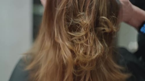 Closeup of a Brown Brunette Woman's Hair After a Haircut