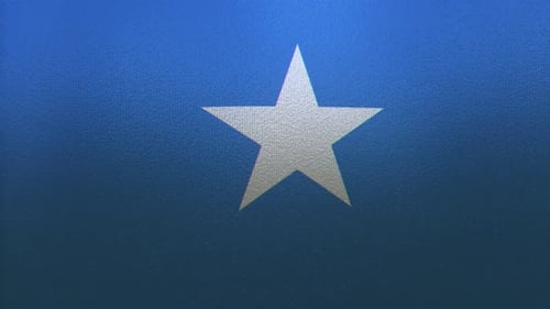 Waving Somalia Flag Loop with Realistic Fabric Texture