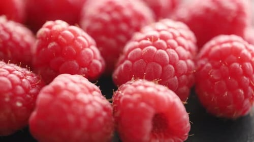Fresh Red Raspberries