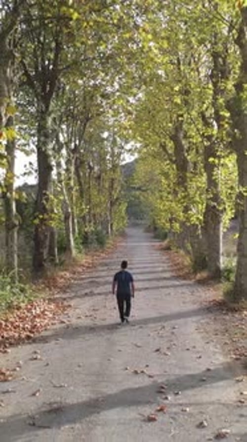 Walking Autumn Road Drone
