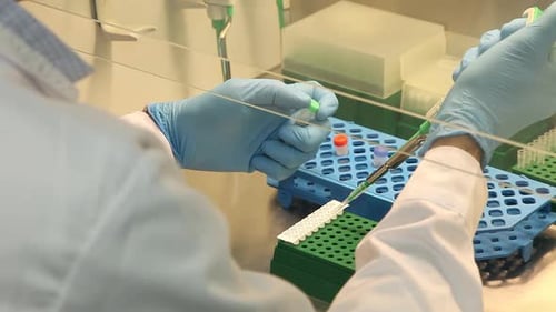 Maîtriser les techniques de PCR : un guide étape par étape en laboratoire