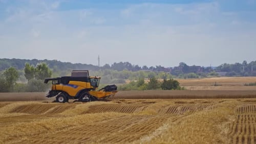Modern combine harvester on the field. Agricultural machine in the rural place at seasonal works.