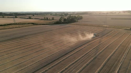 High Establishing Drone Shot of Combine Harvester at Dusk Golden Hour Sunset with Dust UK