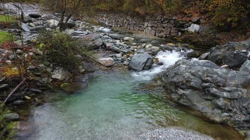 Mountain river water flow with red and yellow trees autumn foliage aerial view