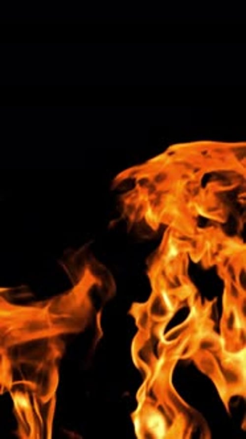 Dynamic Fire Flames Dancing Against Black Backdrop