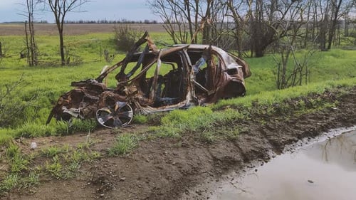 Wrecked Car Remains in a Field
