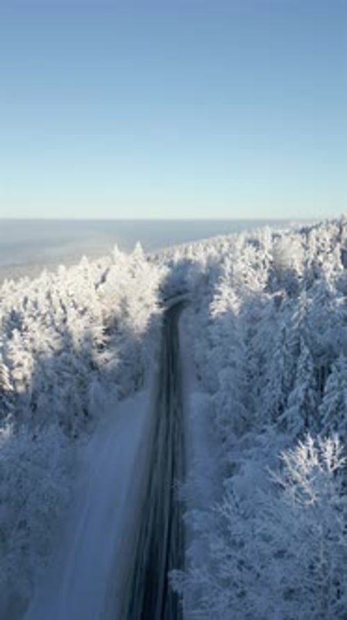 Scenic Road Through a Snowy Winter Mountain Forest on Sunny Day