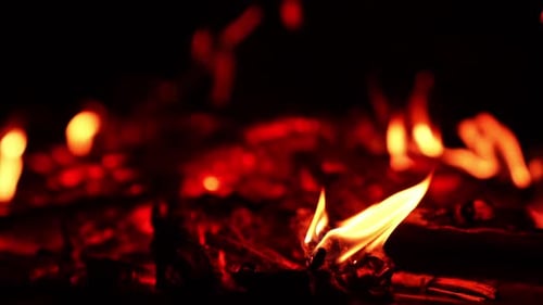 Remnants of wood burning out in the campfire. Red hot embers at backdrop in blur. Close up.