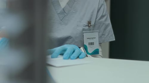 Veterinarian Writing at Desk in Medical Scrubs