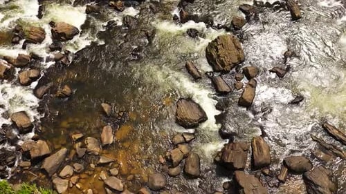 Mountain River Stream in Sunny Summer Day