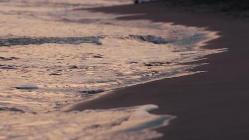 Gentle Ocean Waves Washing Shore at Dusk