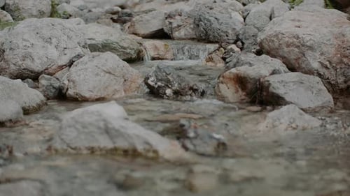 Pure Fresh Water Stream In Mountains Clean Water River Flowing