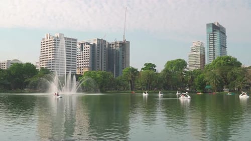 Swan form paddle boats are crossing Lumphini Lake in Bangkok