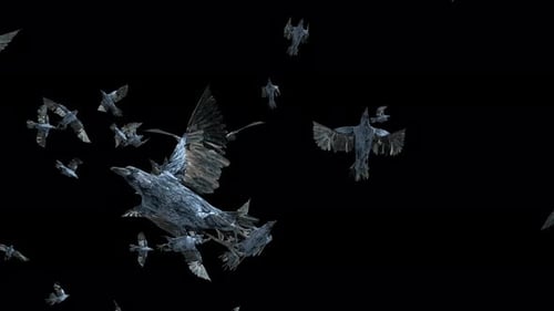 Flock of Realistic Flying Crows Seamless Loop