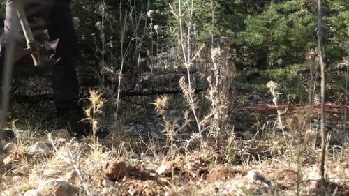 Man Hikes Through Woods With Axe