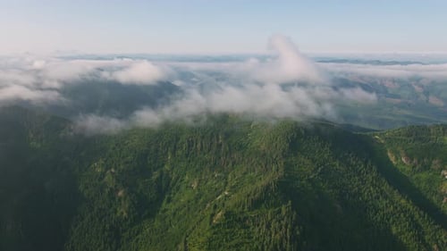 Oregon Circa-2019. Aerial View of Forest and Wilderness Area in Oregon