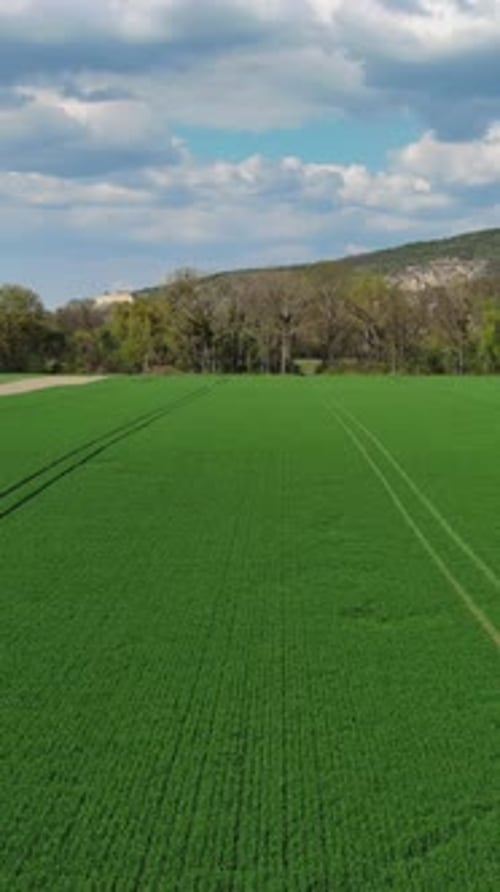 Flying over green agriculture fields in spring