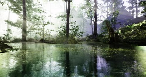 Enchanting Forest with Calm Water Reflections and Tranquility