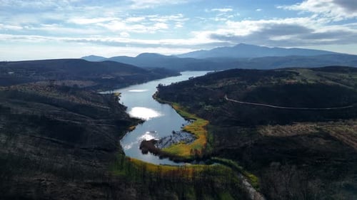 Aerial shot of burned forest next to lake 4K