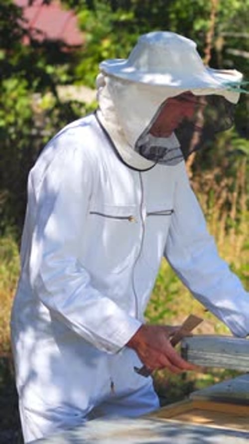 Beekeeper Inspecting Honeycomb Frame in Rural Setting