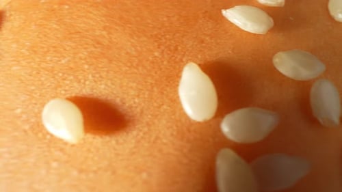 Burger Bun with Sesame Seeds in Close-up