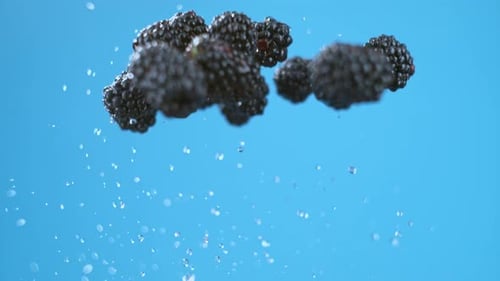 Flying blackberries 1000fps slow motion