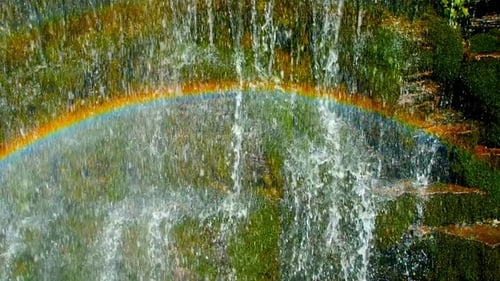 Water Drop Falling