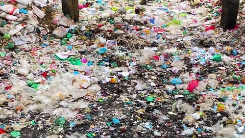 Devastating Litter Landscape: Environmental Pollution and Waste