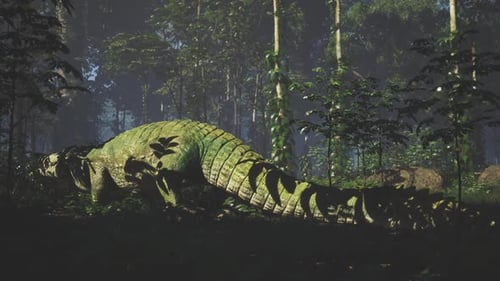 Crocodile se reposant tranquillement au milieu d'une végétation luxuriante dans un cadre forestier serein