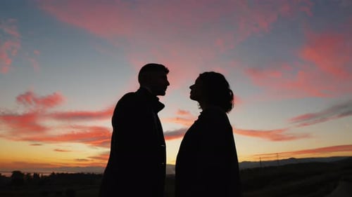 Silhouette of Couple Kiss Against the Orange Sunset