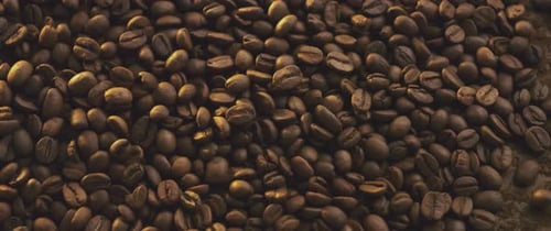 Coffee Beans Piled Together