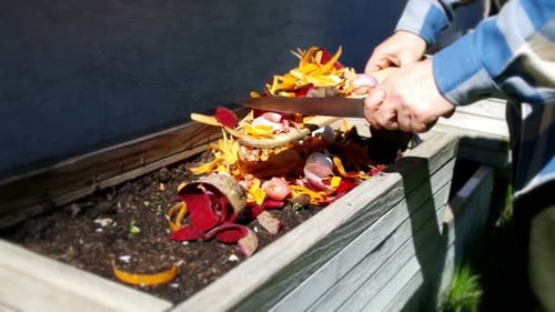 Compost from kitchen organic waste and home recycling