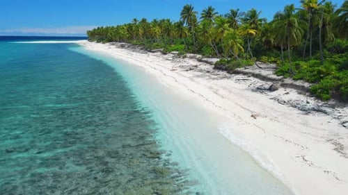 Maldives Island with Tropical Beach with Palm Trees and Blue Ocean Aerial View