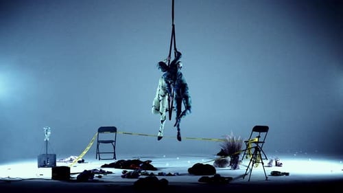 Talented Acrobats Suspended From Metal Frame In Minimalist Studio