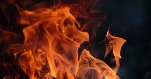 Fire flame