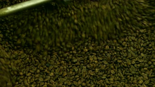Coffee Beans Stirring in Roasting Machine