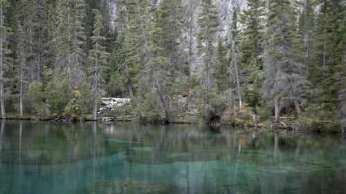 Peaceful emerald colour lake, and pine tree forest in the back.